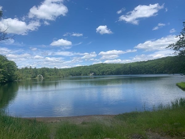 0 Lion Hill Rd, Otis, Massachusetts, ,Land,For Sale,Lion Hill Rd,73416692