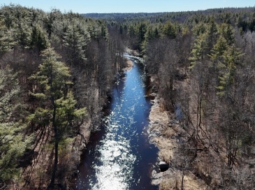 12 Lots on Mill St, Templeton, Massachusetts, ,Land,For Sale,Mill St,73418621