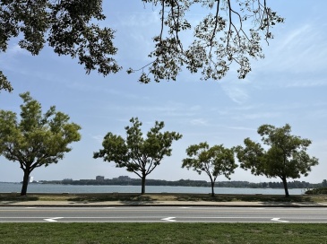 1440 Columbia Road, Boston, Massachusetts, 1 Bedroom Bedrooms, 3 Rooms Rooms,1 BathroomBathrooms,Residential Lease,For Rent,Columbia Road,73418943