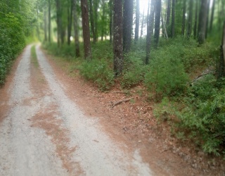 0 Cross Neck, Marion, Massachusetts, ,Land,For Sale,Cross Neck,73420524