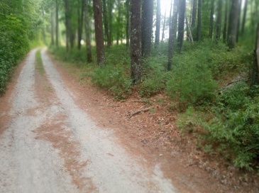 0 Cross Neck, Marion, Massachusetts, ,Land,For Sale,Cross Neck,73420524