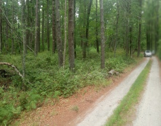 0 Cross Neck, Marion, Massachusetts, ,Land,For Sale,Cross Neck,73420525