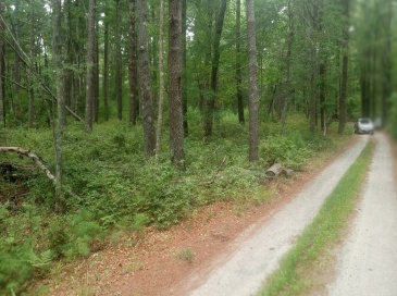 0 Cross Neck, Marion, Massachusetts, ,Land,For Sale,Cross Neck,73420525