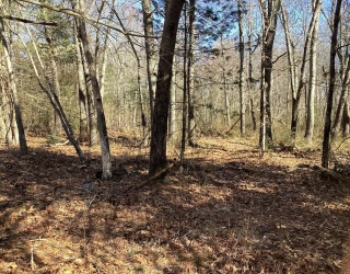 0 Coleman Ave, Attleboro, Massachusetts, ,Land,For Sale,Coleman Ave,73339137