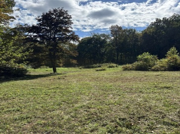 161 Delargy Rd, Hardwick, Massachusetts, ,Land,For Sale,Delargy Rd,73350383