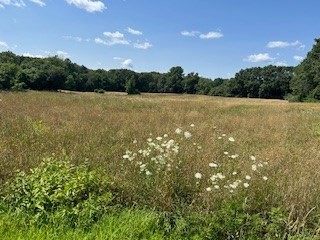 0 Blackstone St, Bellingham, Massachusetts, ,Land,For Sale,Blackstone St,73270799