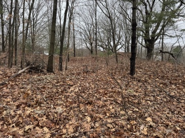 0 Hopkinton Rd, Westborough, Massachusetts, ,Land,For Sale,Hopkinton Rd,73346464