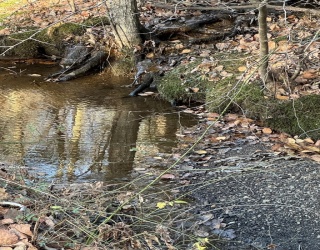 0 Stage Road, Cummington, Massachusetts, ,Land,For Sale,Stage Road,73325251