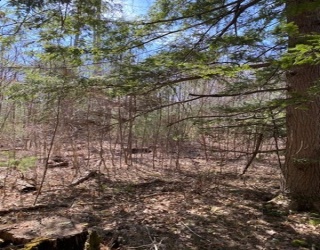 9-L New Athol Rd, Petersham, Massachusetts, ,Land,For Sale,New Athol Rd,73360983