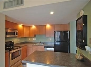 85 Brainerd Road, Boston, Massachusetts, 2 Bedrooms Bedrooms, 5 Rooms Rooms,2 BathroomsBathrooms,Residential Lease,For Rent,Brainerd Road,73385163