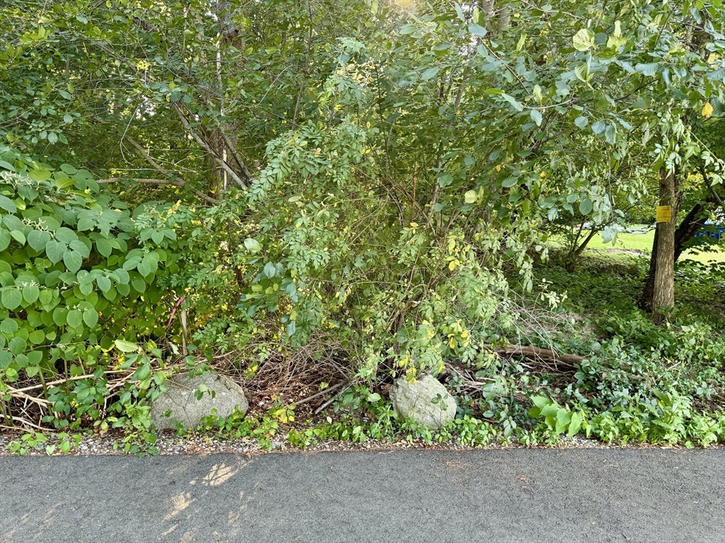 0 Talmadge Ave, Braintree, Massachusetts, ,Land,For Sale,Talmadge Ave,73283456