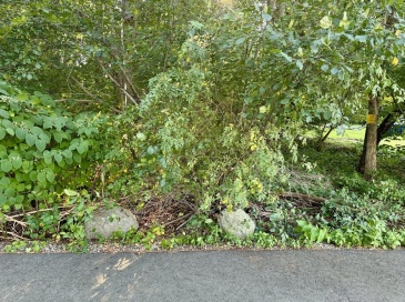 0 Talmadge Ave, Braintree, Massachusetts, ,Land,For Sale,Talmadge Ave,73283456