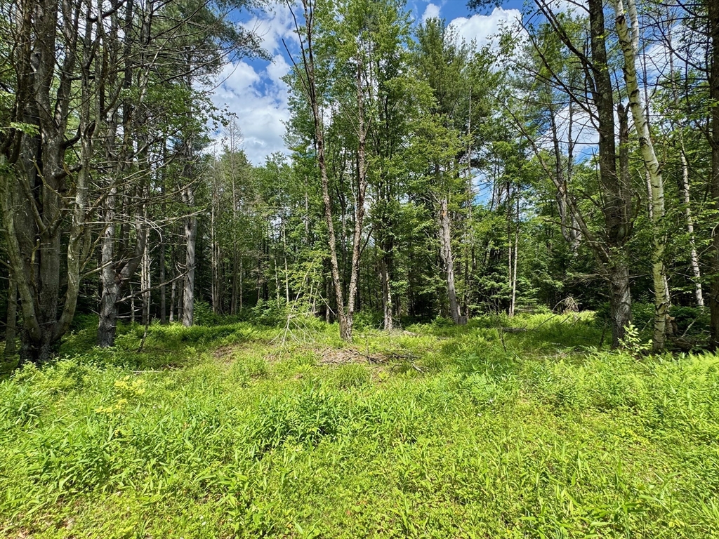 0 Shelburne Falls Road, Conway, Massachusetts, ,Land,For Sale,Shelburne Falls Road,73397864