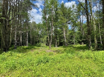 0 Shelburne Falls Road, Conway, Massachusetts, ,Land,For Sale,Shelburne Falls Road,73397864