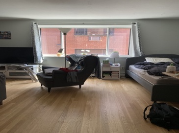 205 Kent St, Brookline, Massachusetts, 2 Rooms Rooms,1 BathroomBathrooms,Residential Lease,For Rent,Kent St,73393618