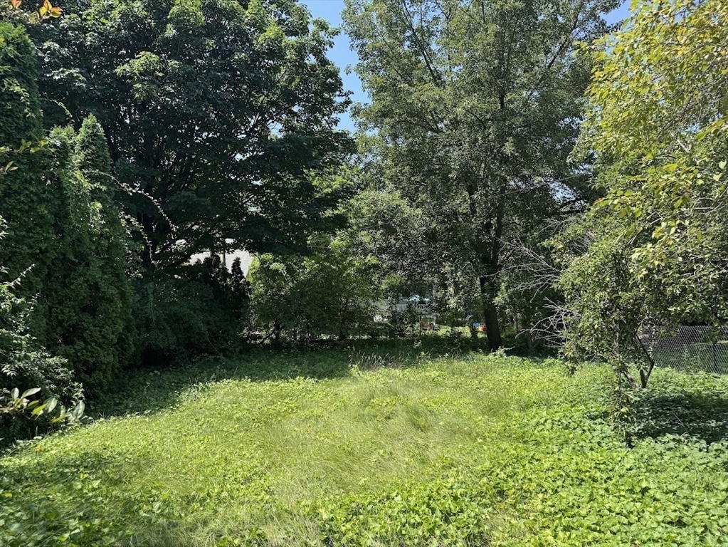 0 Chilson St, Springfield, Massachusetts, ,Land,For Sale,Chilson St,73405106