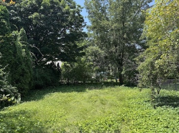 0 Chilson St, Springfield, Massachusetts, ,Land,For Sale,Chilson St,73405106