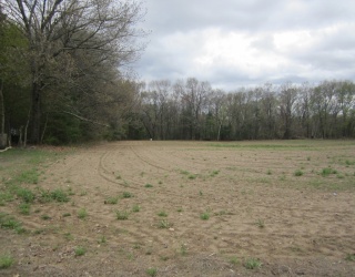 Lot A Mill Street, Agawam, Massachusetts, ,Land,For Sale,Mill Street,73366864