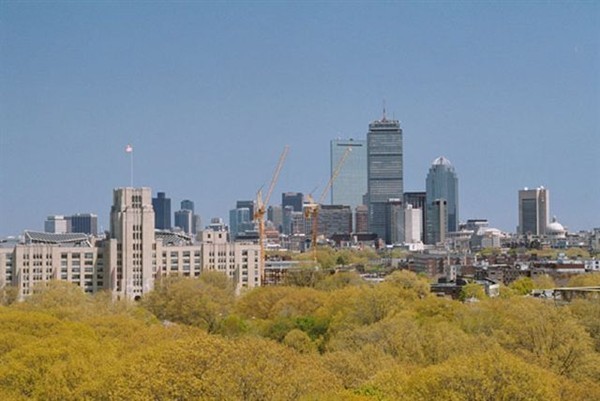 20 Chapel St, Brookline, Massachusetts, 1 Bedroom Bedrooms, 3 Rooms Rooms,1 BathroomBathrooms,Residential Lease,For Rent,Chapel St,73409434