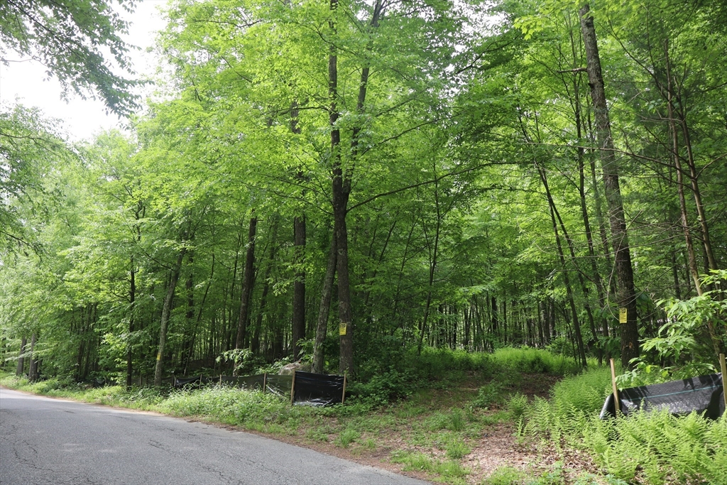 160 Silver Street, Monson, Massachusetts, ,Land,For Sale,Silver Street,73384667