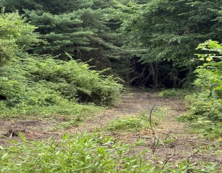 Lot 1 Rocky Meadow Street, Middleboro, Massachusetts, ,Land,For Sale,Rocky Meadow Street,73399269