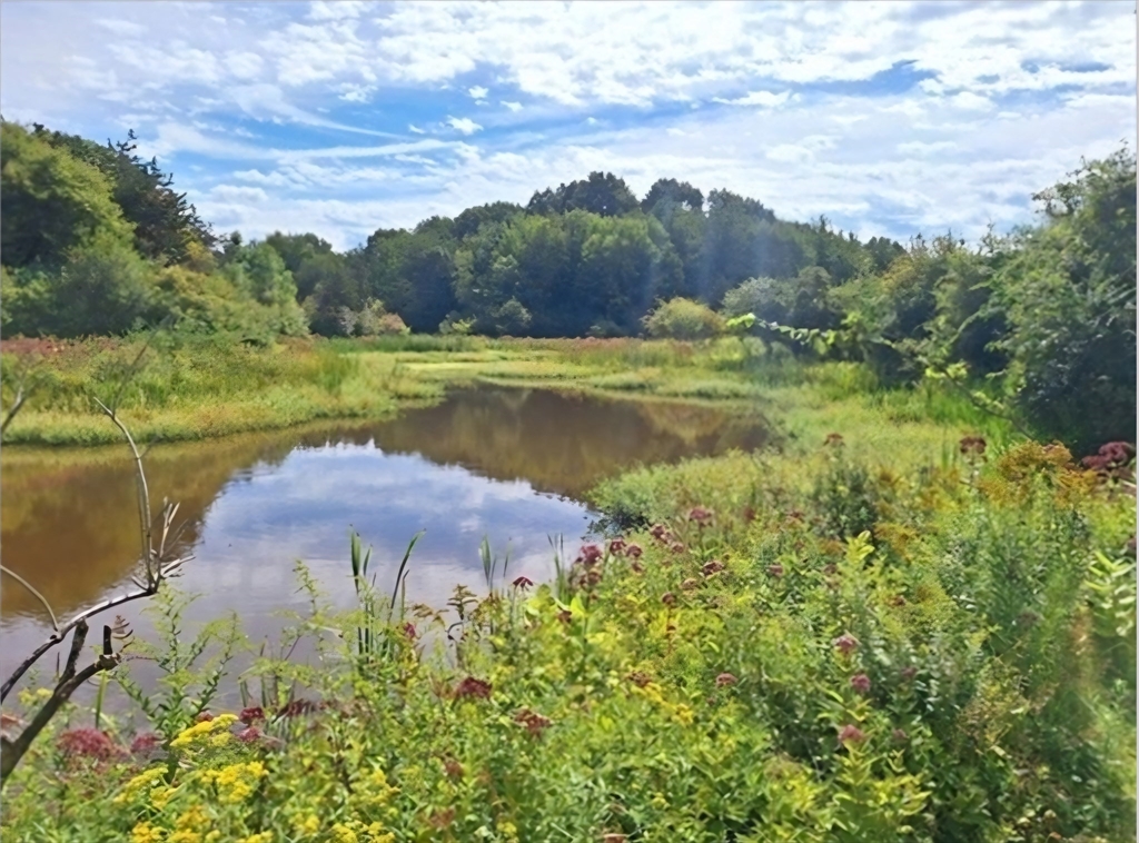 98 Choate St, Essex, Massachusetts, ,Land,For Sale,Choate St,73326002