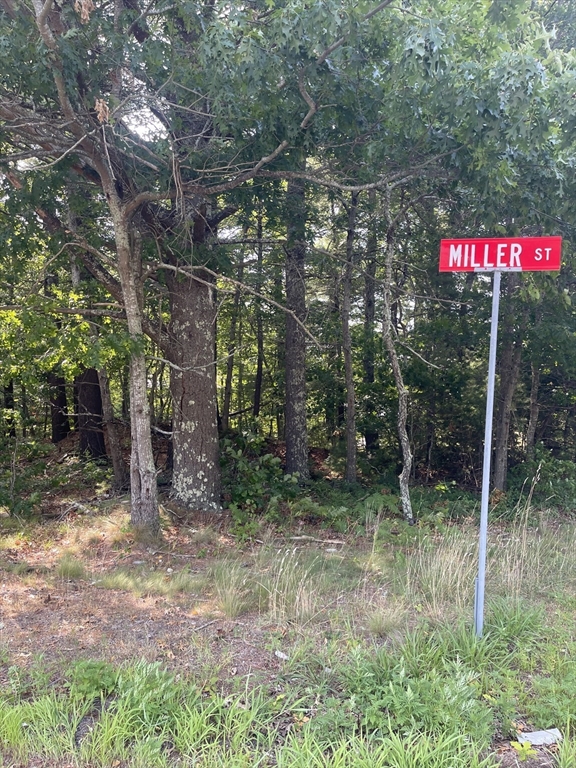 Rear Wareham Street, Middleboro, Massachusetts, ,Land,For Sale,Wareham Street,73422177