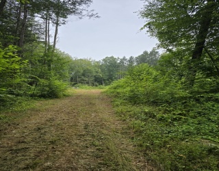 38 County Road, Huntington, Massachusetts, ,Land,For Sale,County Road,73414090