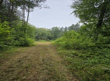 38 County Road, Huntington, Massachusetts, ,Land,For Sale,County Road,73414090