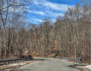 LOT 15 Carver St, Granby, Massachusetts, ,Land,For Sale,Carver St,73345006