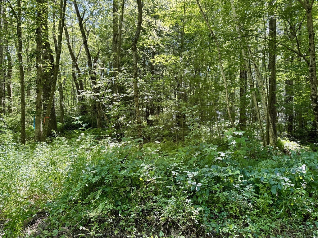 Lot 2 Greenville Street, Spencer, Massachusetts, ,Land,For Sale,Greenville Street,73406441