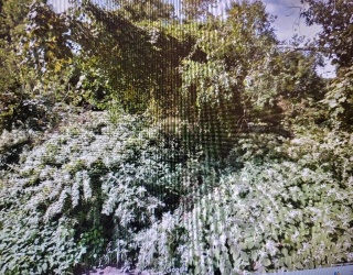 30 Patton St, Dartmouth, Massachusetts, ,Land,For Sale,Patton St,73379777