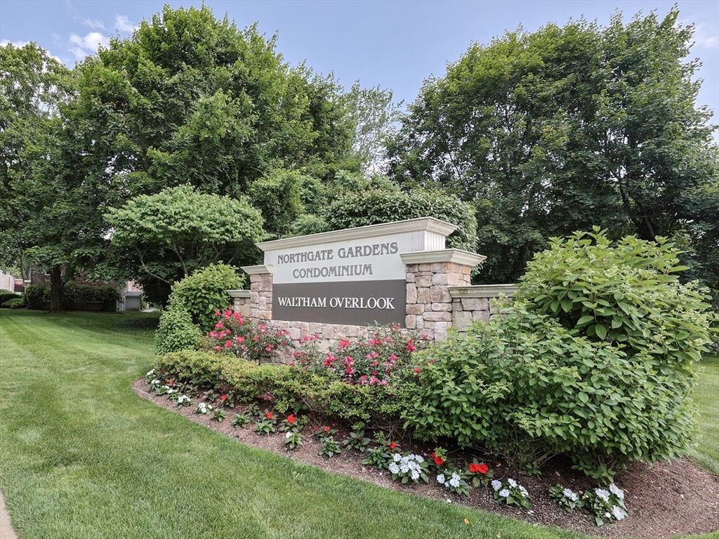 54 Jacqueline Rd, Waltham, Massachusetts, 1 Bedroom Bedrooms, 4 Rooms Rooms,1 BathroomBathrooms,Residential Lease,For Rent,Jacqueline Rd,73390805