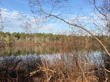 3 Michael Dr, Wareham, Massachusetts, ,Land,For Sale,Michael Dr,73423552