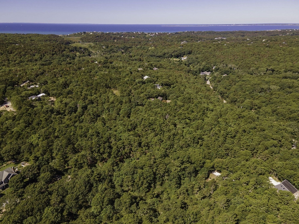 57 Old Kings Hwy, Truro, Massachusetts, ,Land,For Sale,Old Kings Hwy,73425559