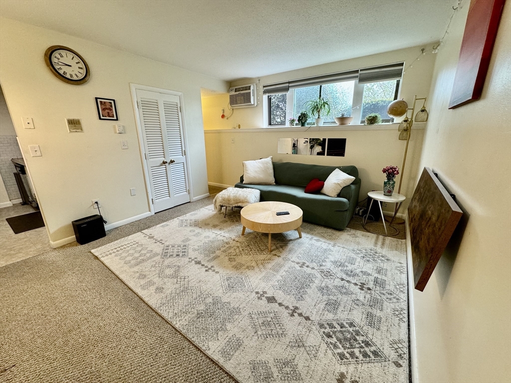 172 River St, Waltham, Massachusetts, 1 Bedroom Bedrooms, 3 Rooms Rooms,1 BathroomBathrooms,Residential Lease,For Rent,River St,73425730