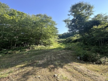 Lot 1 Brimfield Road, Warren, Massachusetts, ,Land,For Sale,Brimfield Road,73426022