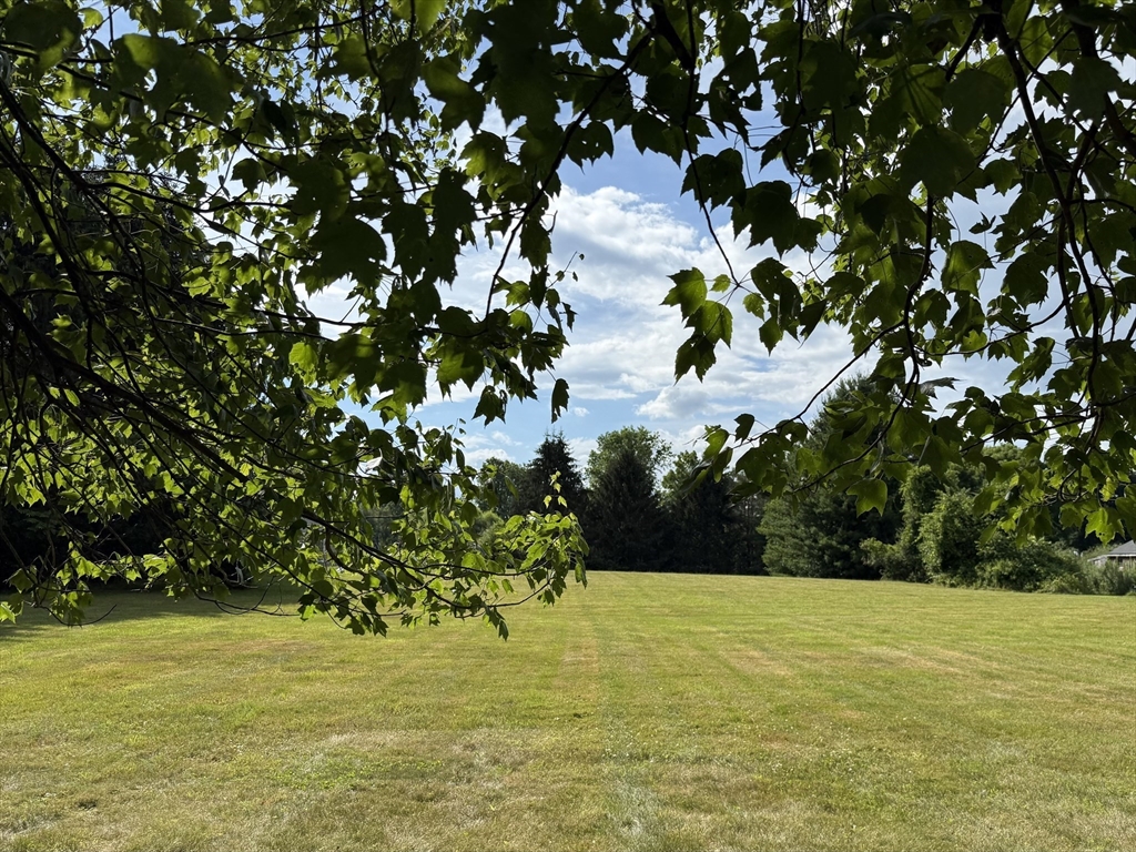 0 East St, Northfield, Massachusetts, ,Land,For Sale,East St,73409684