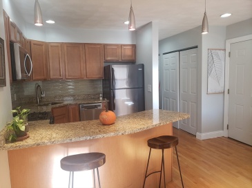 30 Haynes St, Boston, Massachusetts, 1 Bedroom Bedrooms, 3 Rooms Rooms,1 BathroomBathrooms,Residential Lease,For Rent,Haynes St,73400458