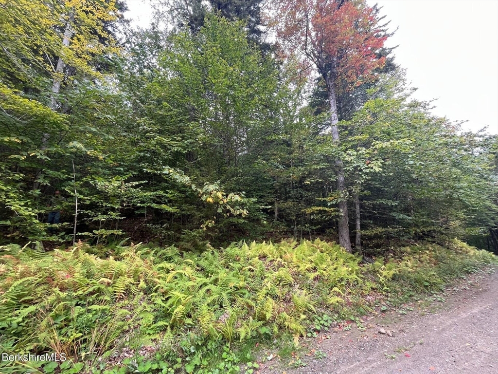 0 Manley Phelps Road, Monroe, Massachusetts, ,Land,For Sale,Manley Phelps Road,73427346