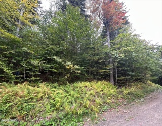 0 Manley Phelps Road, Monroe, Massachusetts, ,Land,For Sale,Manley Phelps Road,73427346