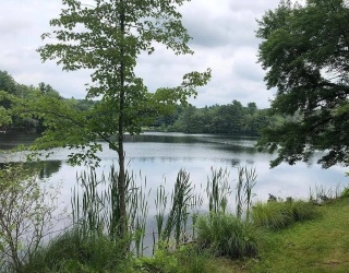 24 Cote Ln, Sutton, Massachusetts, 2 Bedrooms Bedrooms, 5 Rooms Rooms,1 BathroomBathrooms,Residential,For Sale,Cote Ln,73393608