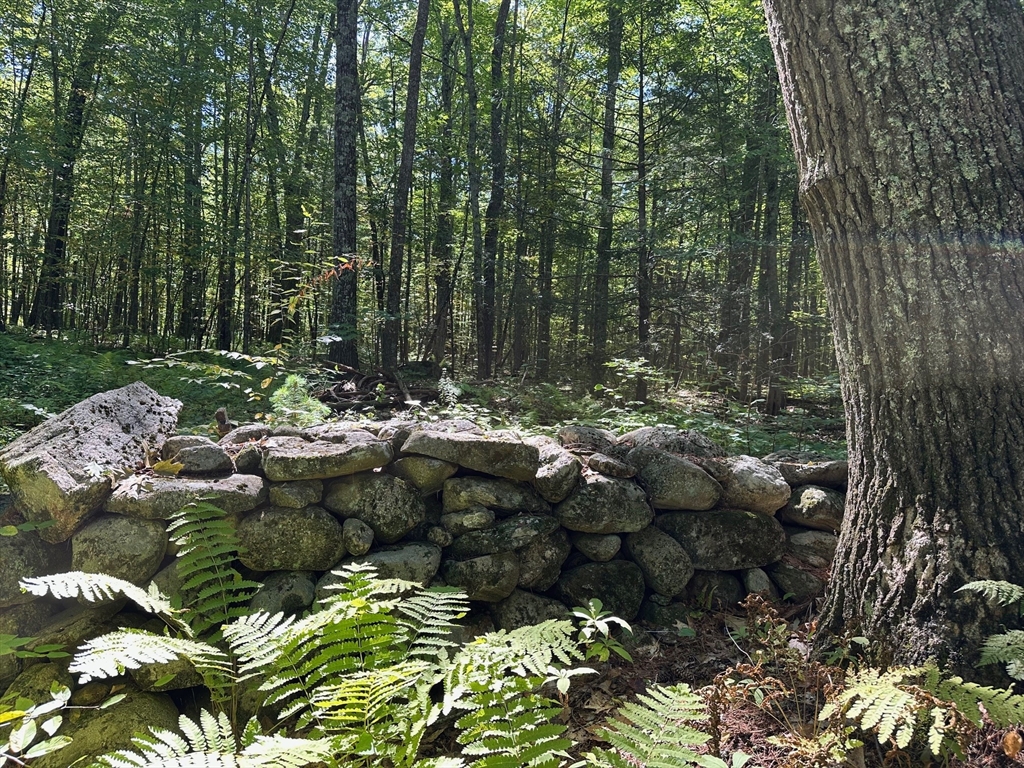 0 Nichewaug Rd, Petersham, Massachusetts, ,Land,For Sale,Nichewaug Rd,73421995