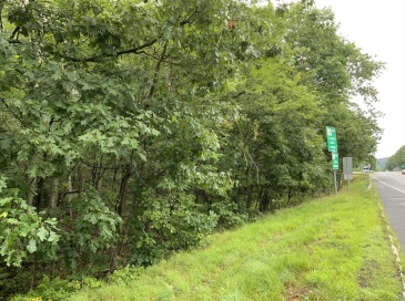 0 Conway Road, Deerfield, Massachusetts, ,Land,For Sale,Conway Road,73404043