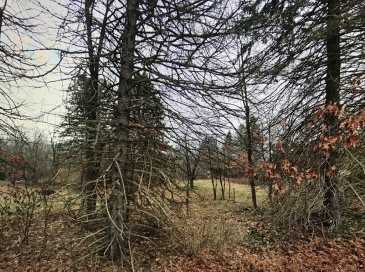 1255 Methuen St, Dracut, Massachusetts, ,Land,For Sale,Methuen St,73408040