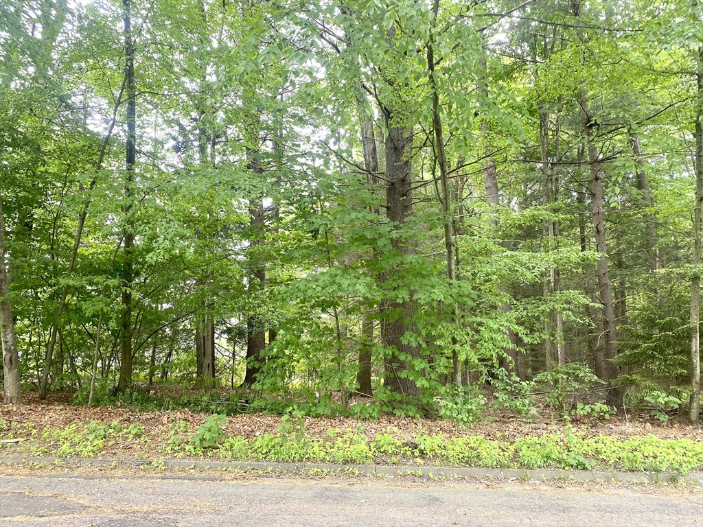Lot 0 Surrey Lane, Westfield, Massachusetts, ,Land,For Sale,Surrey Lane,73387161