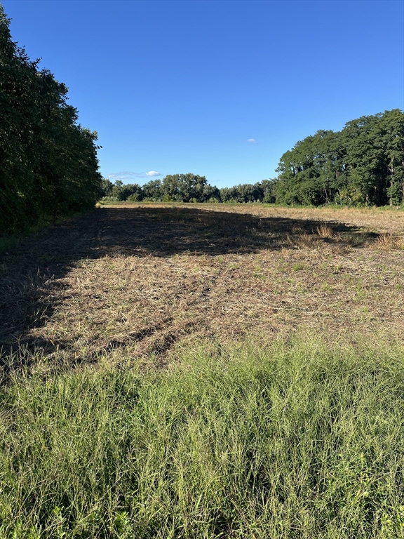 0 North Branch Road, Hadley, Massachusetts, ,Land,For Sale,North Branch Road,73428056