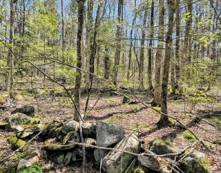 lot 13 Skyline, Chester, Massachusetts, ,Land,For Sale,Skyline,73342032