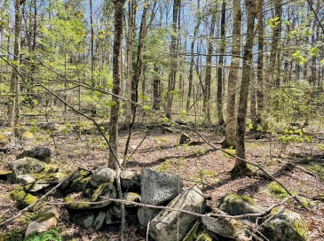 lot 13 Skyline, Chester, Massachusetts, ,Land,For Sale,Skyline,73342032