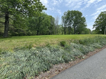 3 Weaver Farm Road, Rutland, Massachusetts, ,Land,For Sale,Weaver Farm Road,73391551